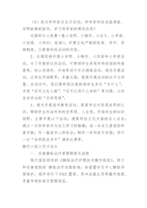 静疗小组工作计划.docx