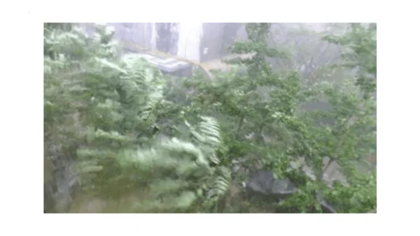 2《花的学校》   课件