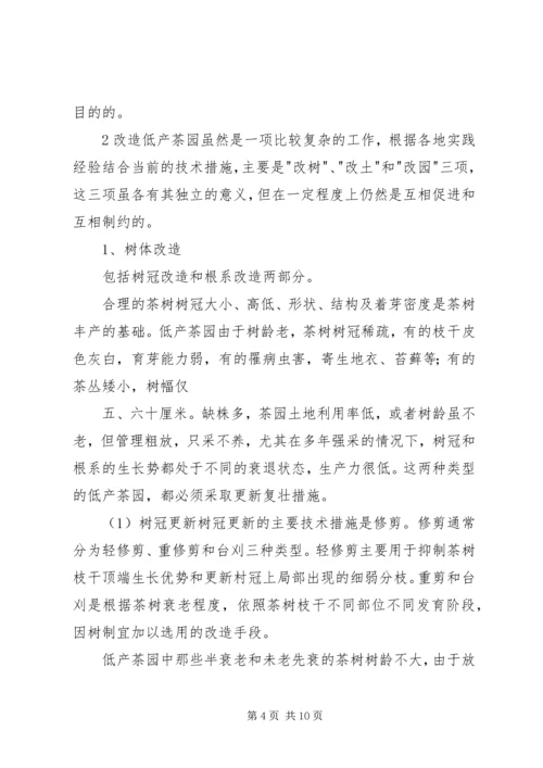 茶园改造实施方案 (3).docx