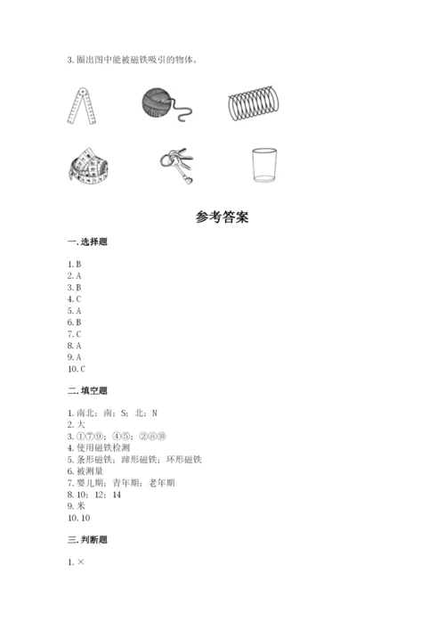 教科版小学科学二年级下册 期末测试卷含答案（典型题）.docx