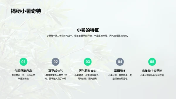 小暑节气揭秘