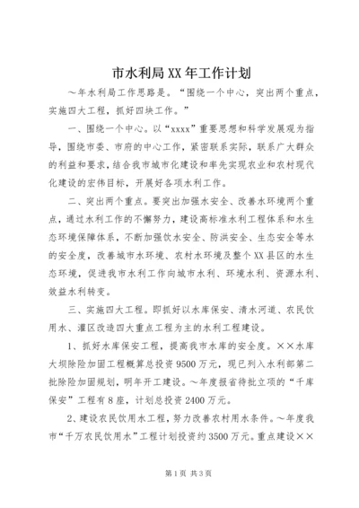 市水利局XX年工作计划 (2).docx