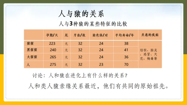人类的起源和进化生物课通用PPT课件