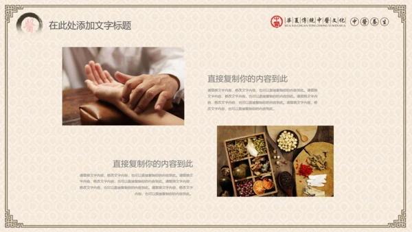 传统中医学中医院中医文化中草药PPT模板