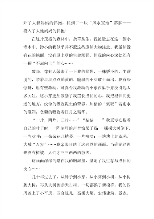 我是一棵树作文300字