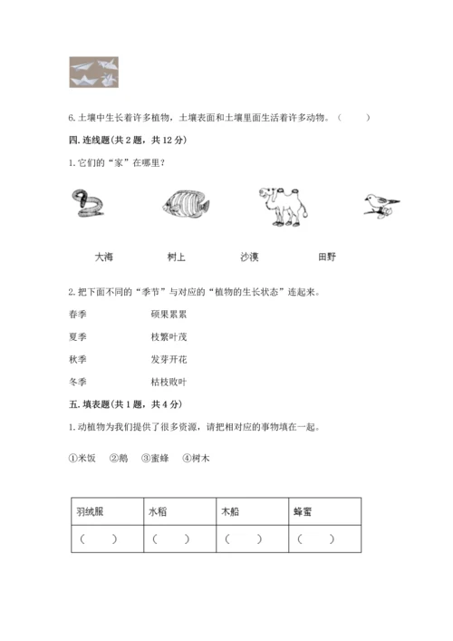 教科版二年级上册科学期末测试卷可打印.docx