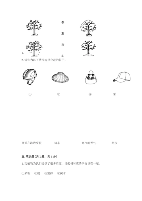 教科版小学二年级上册科学期末测试卷【word】.docx