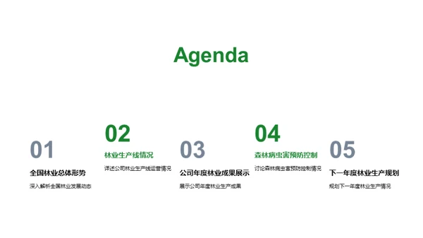 20XX年林业盘点与展望