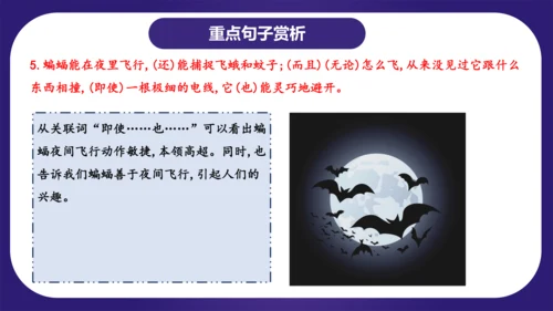 统编版语文四年级上册第二单元（复习课件）