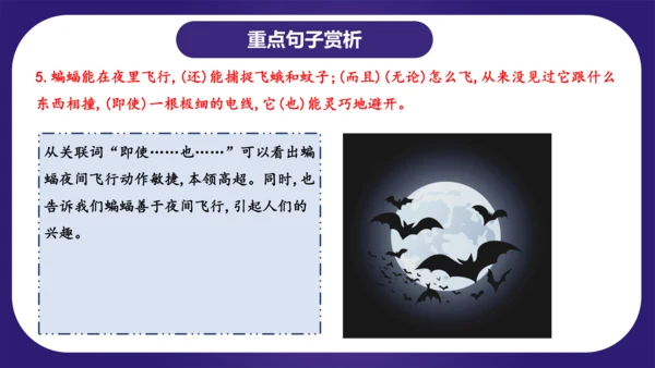 统编版语文四年级上册第二单元（复习课件）