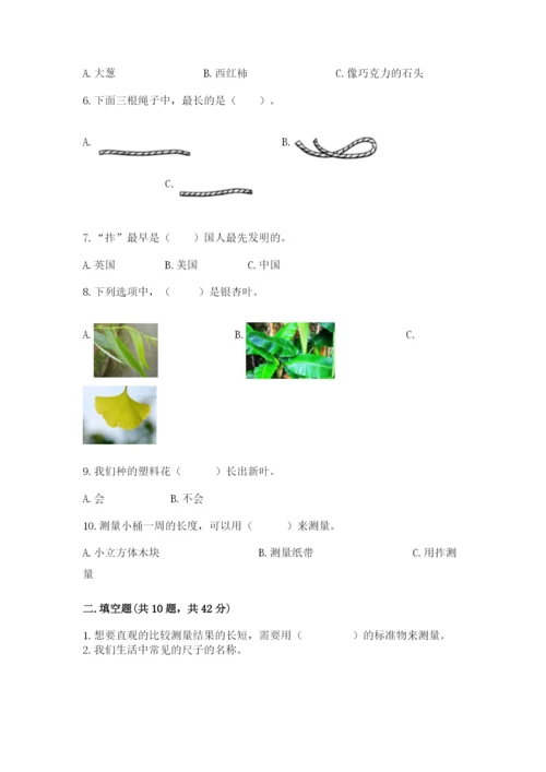 教科版一年级上册科学期末测试卷（考点提分）.docx