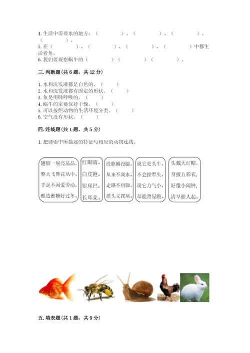教科版小学科学一年级下册期末测试卷及完整答案【易错题】.docx