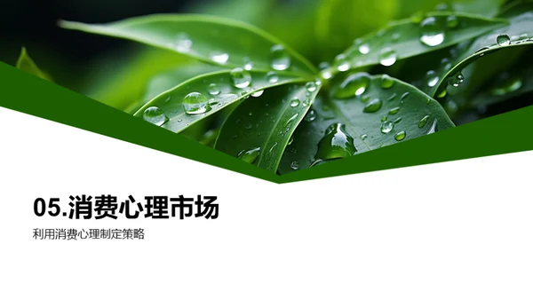 谷雨季市场策略