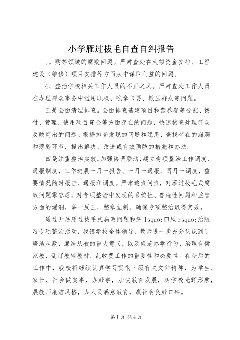 小学雁过拔毛自查自纠报告.docx