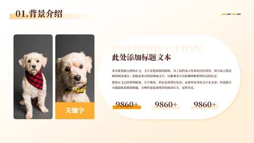 宠物代养宠物寄存商业计划书模板
