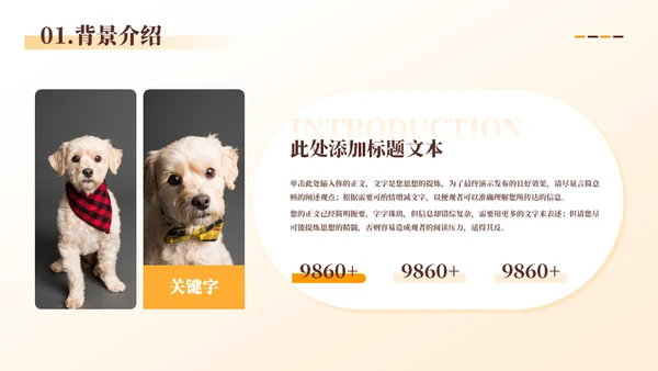 宠物代养宠物寄存商业计划书模板