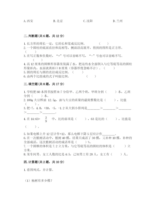 海阳市六年级下册数学期末测试卷及答案一套.docx