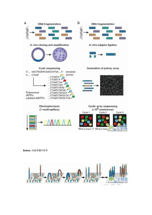 高通量测序第二代测序技术详细介绍.docx