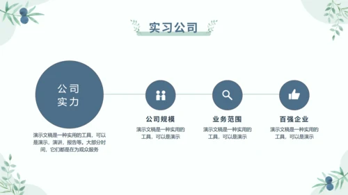 莫兰迪小清新大学生社会实践实习报告