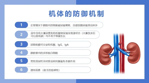 医疗风医疗泌尿系感染PPT模板