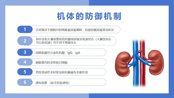 医疗风医疗泌尿系感染PPT模板