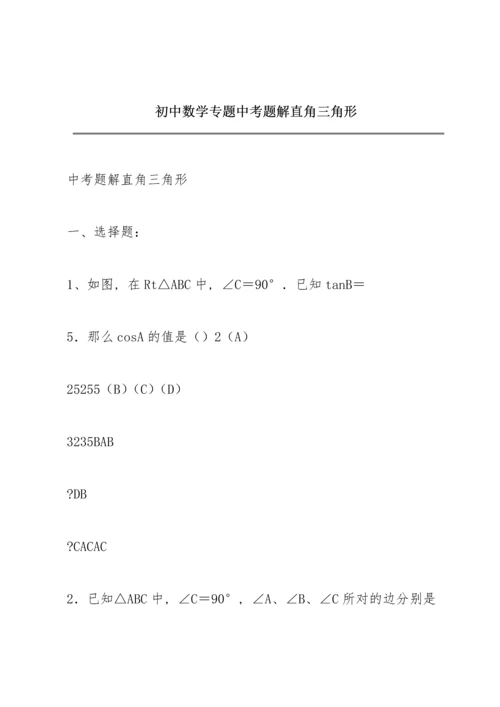 初中数学专题中考题解直角三角形.docx