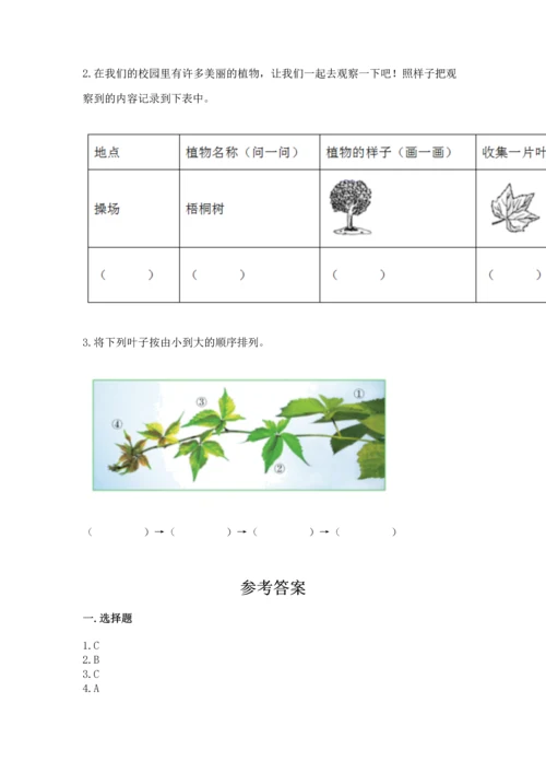 教科版科学一年级上册第一单元《植物》测试卷附参考答案【实用】.docx