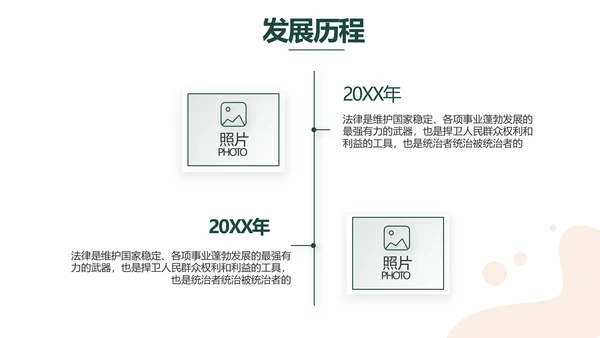 稳重大气法律律法工作报告动态PPT
