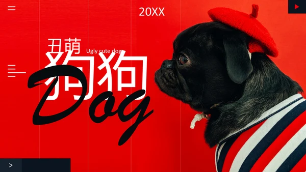 丑萌的小狗狗宠物通用PPT模板