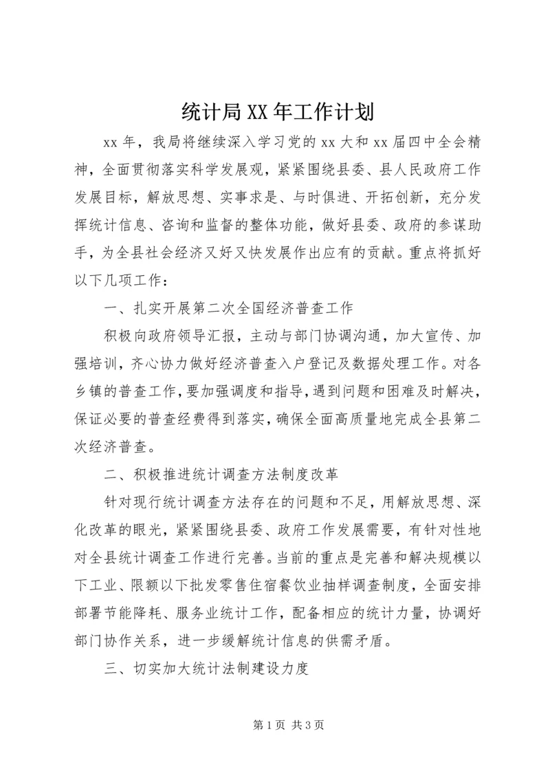 统计局XX年工作计划 (8).docx