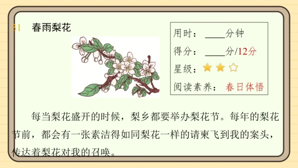 统编版语文五年级上册主题五　自然风光 阅读与写作指导   课件
