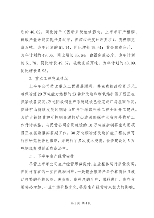 公司半年生产经营活动分析报告.docx