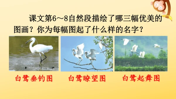 1 白鹭   课件