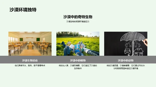 生态环境保护之道