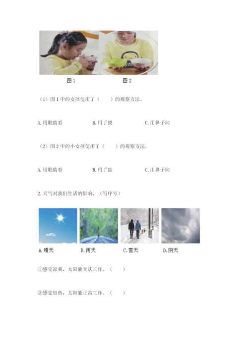 教科版小学二年级上册科学期末测试卷及参考答案【考试直接用】.docx