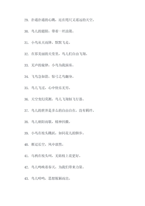 关于鸟的诗句或谚语