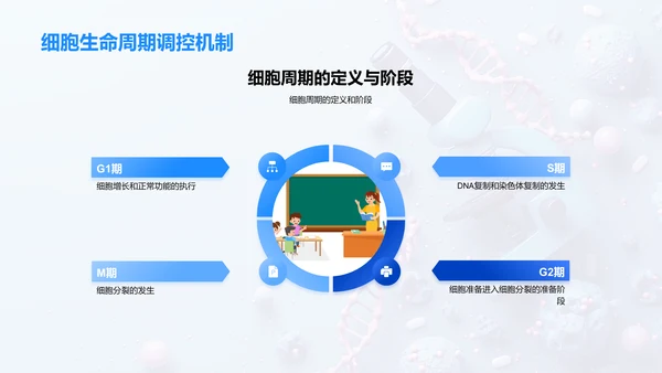 细胞学讲座PPT模板