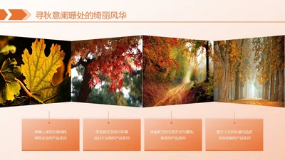 橙色简约风枫叶图文页