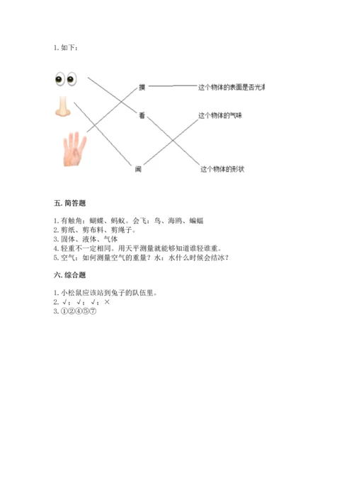 教科版一年级下册科学期末测试卷【考点精练】.docx