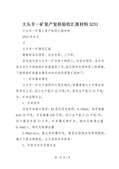 大头羊一矿复产复核验收汇报材料5231.docx