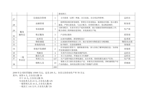 某大型集团公司岗位整合整治与人员优化配置策划预案.docx