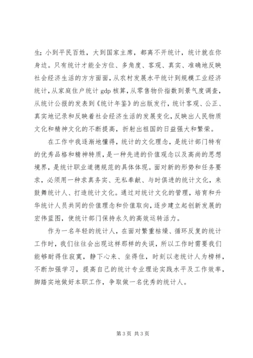 统计工作心得体会.docx