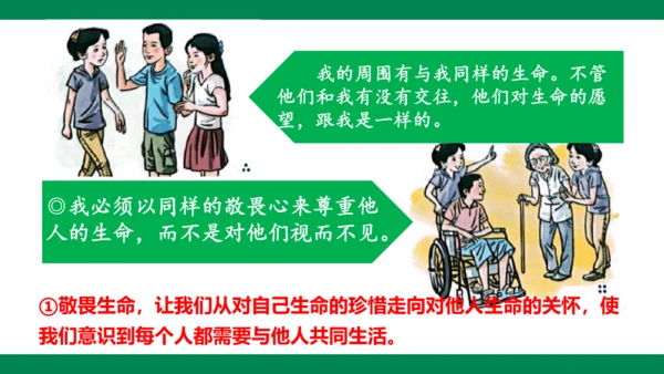 8.2敬畏生命 课件