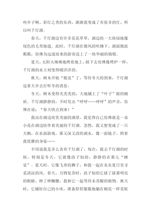 千灯湖作文500字.docx