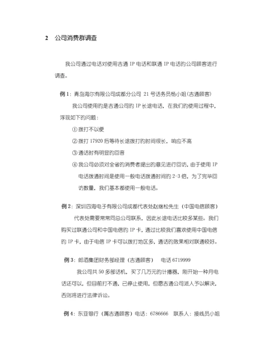 IP电话业务整合营销专题方案.docx