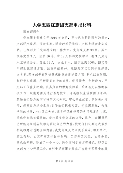 大学五四红旗团支部申报材料 (4).docx