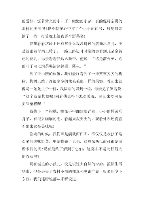 清明思念故人作文3篇