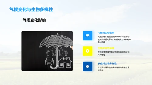 农业可持续发展：实现绿色未来