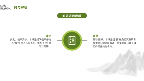 爱护生命保护环境林PPT教学课件