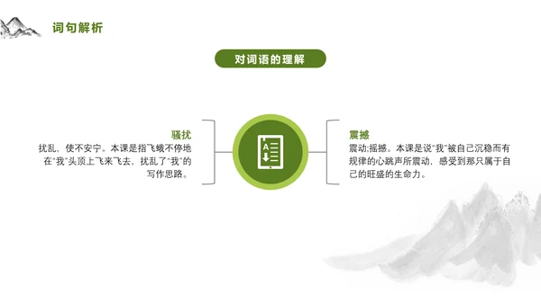 爱护生命保护环境林PPT教学课件